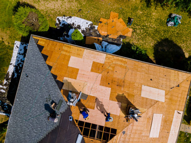 Best Flat Roof Repair Services  in Lodi, WI