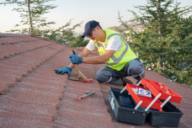 Best Roof Repair Services  in Lodi, WI